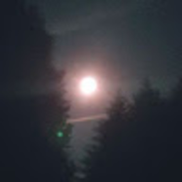 Meet your Posher, Morgan - Picture 1 of 1